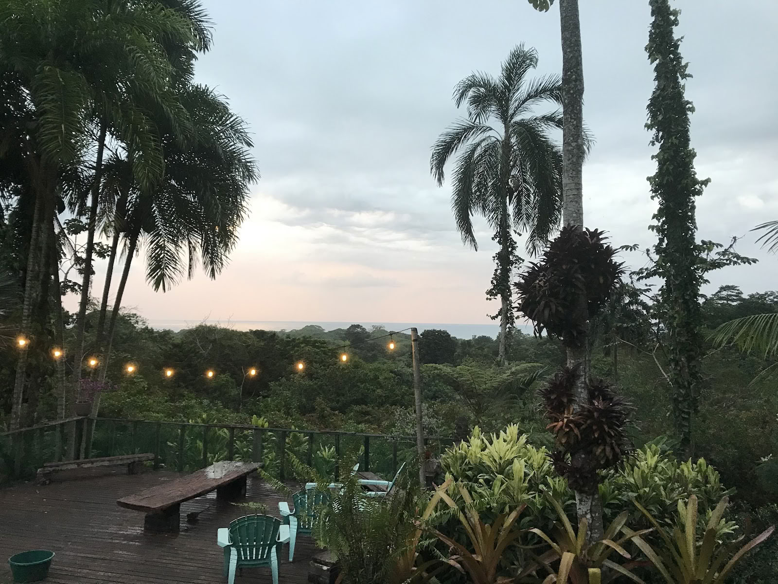 Sowa Soma Retreater