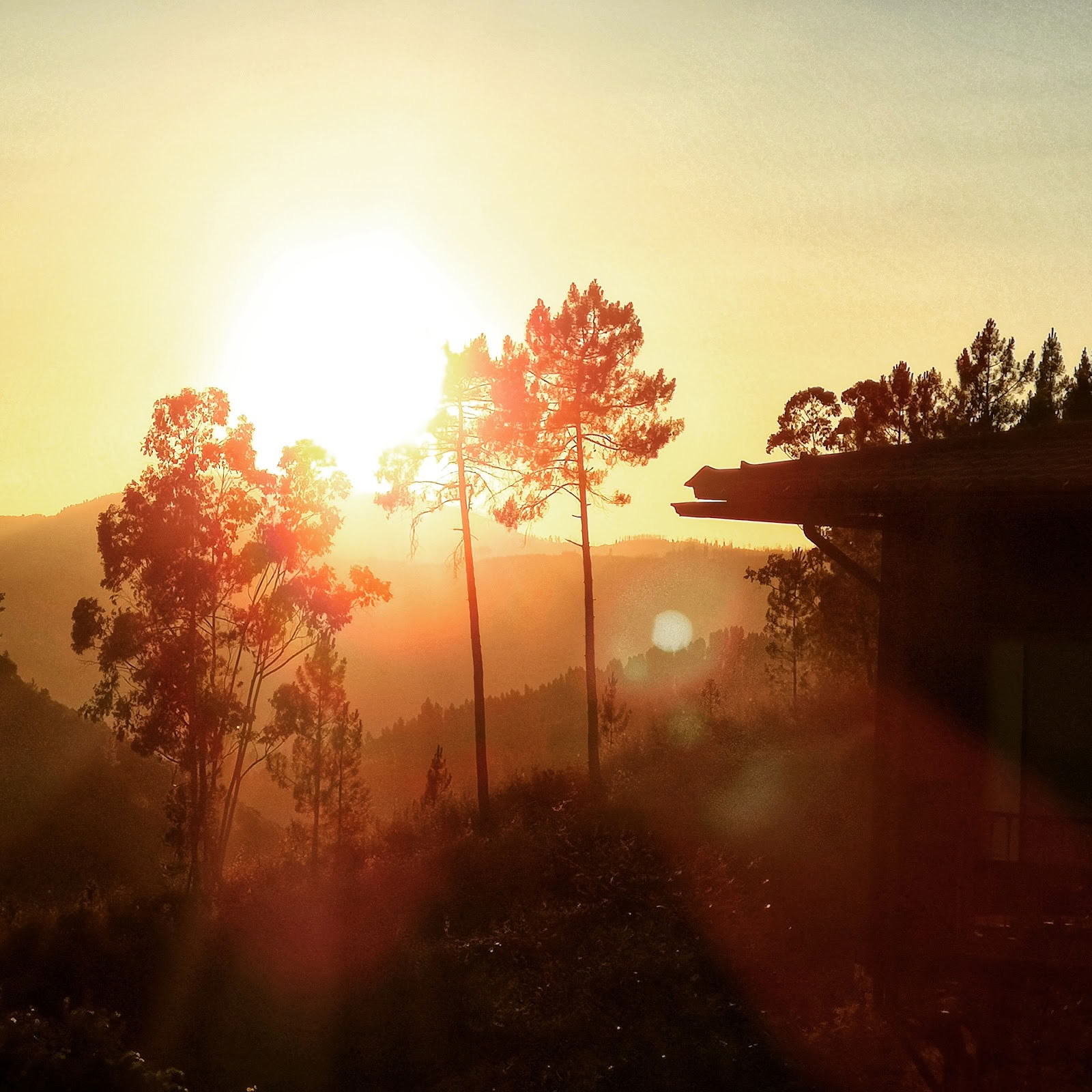 Yoga-retreat i Moses-dalen
