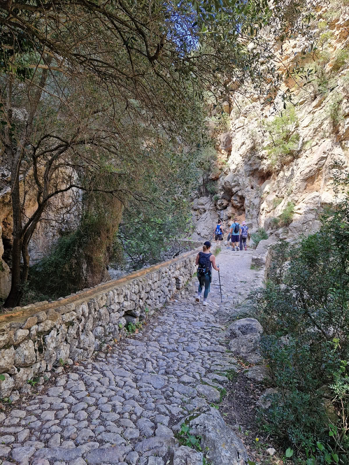 Retreats på Mallorca