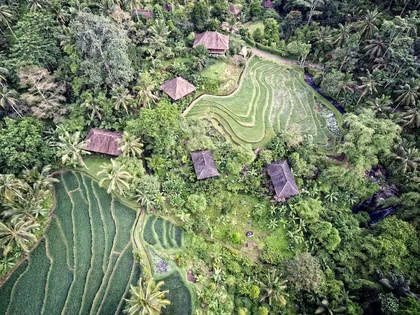 Purna Yoga Bali | Ashtanga-yoga-retreats og -uddannelser