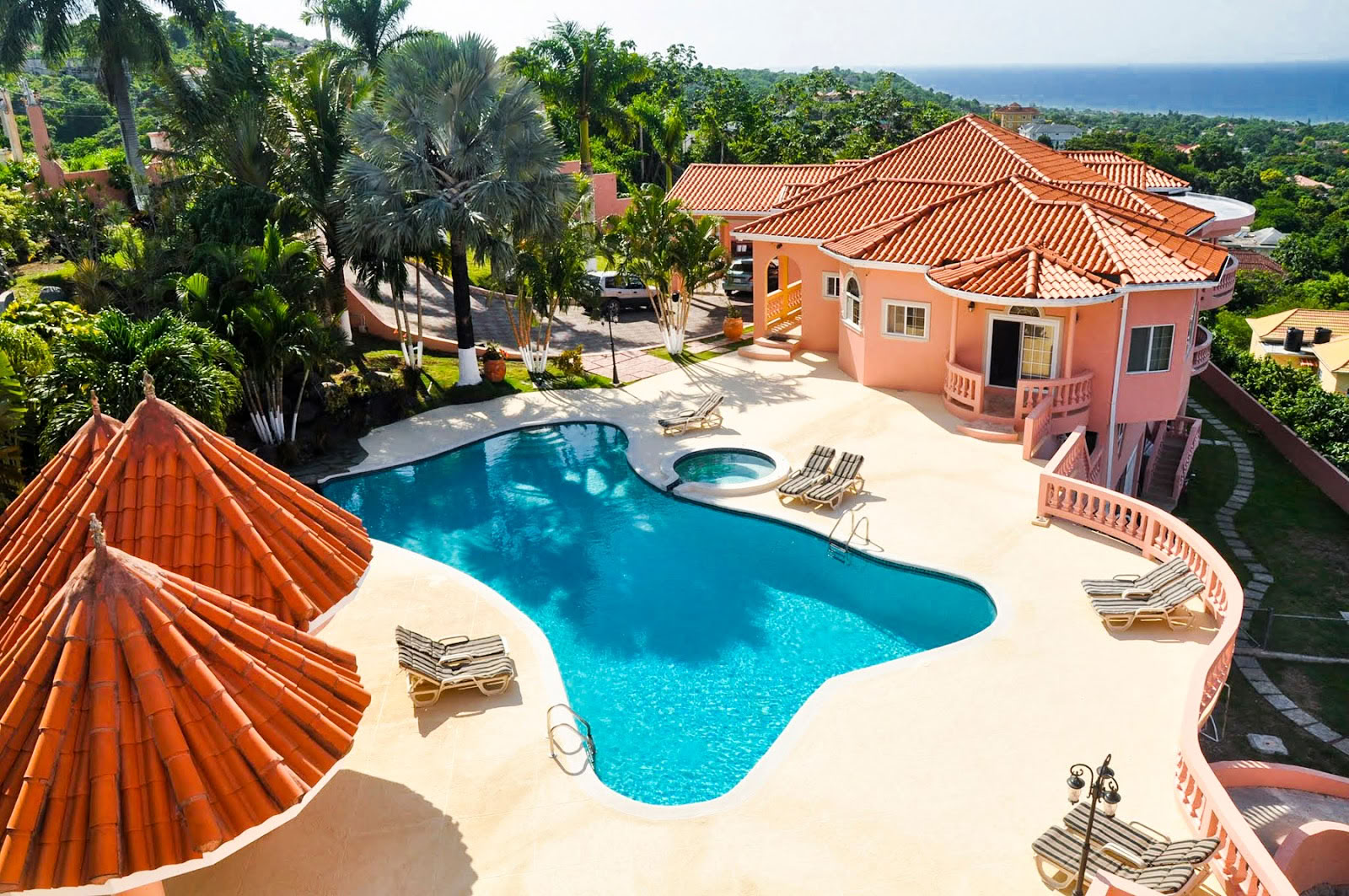 Mycelia-retreat på Jamaica