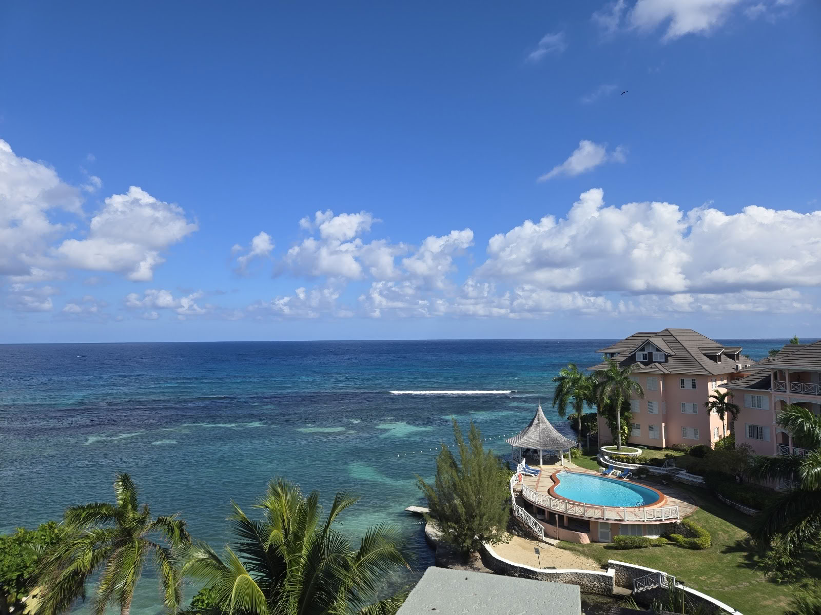 Mycelia-retreat på Jamaica