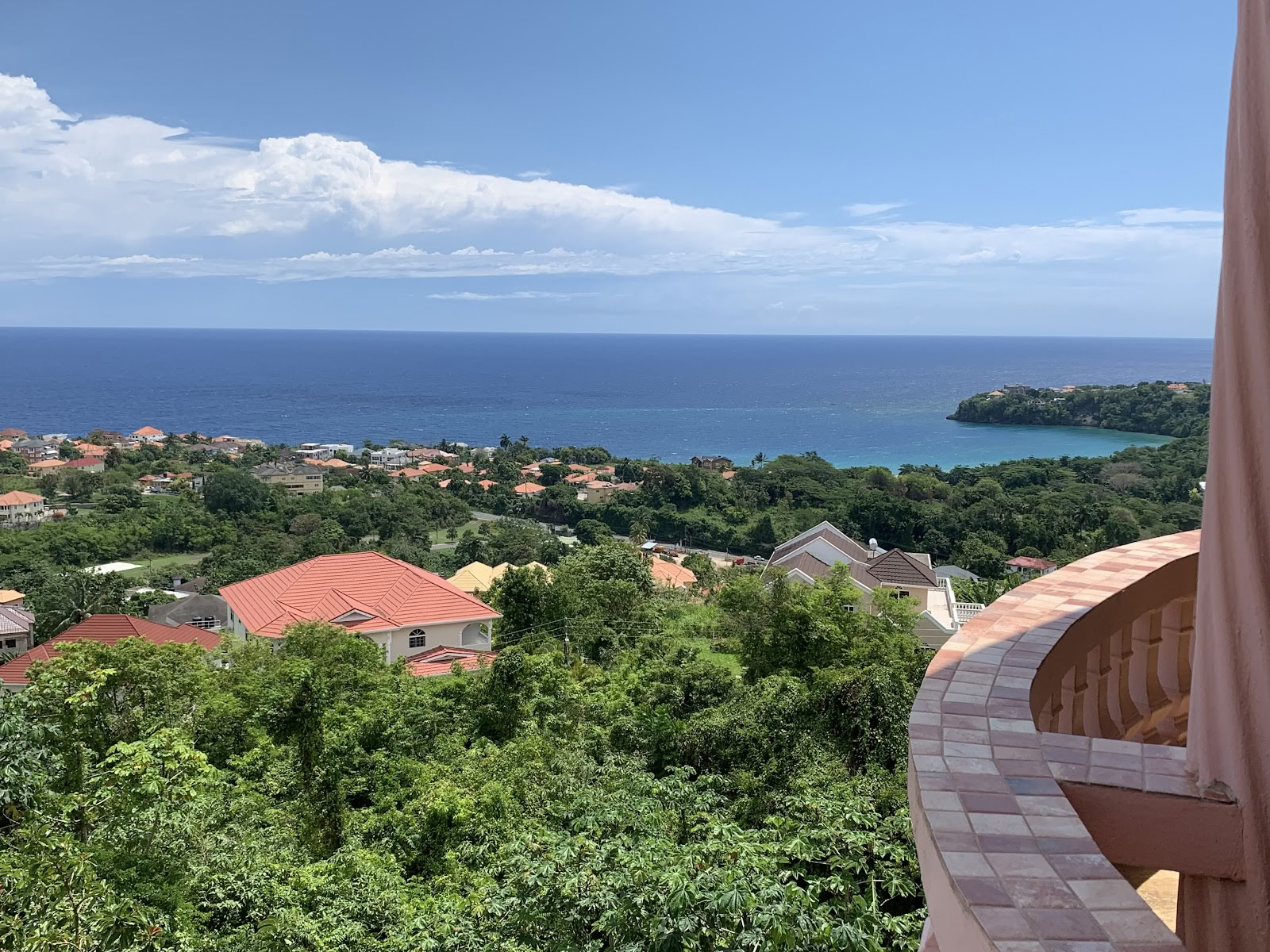 Mycelia-retreat på Jamaica