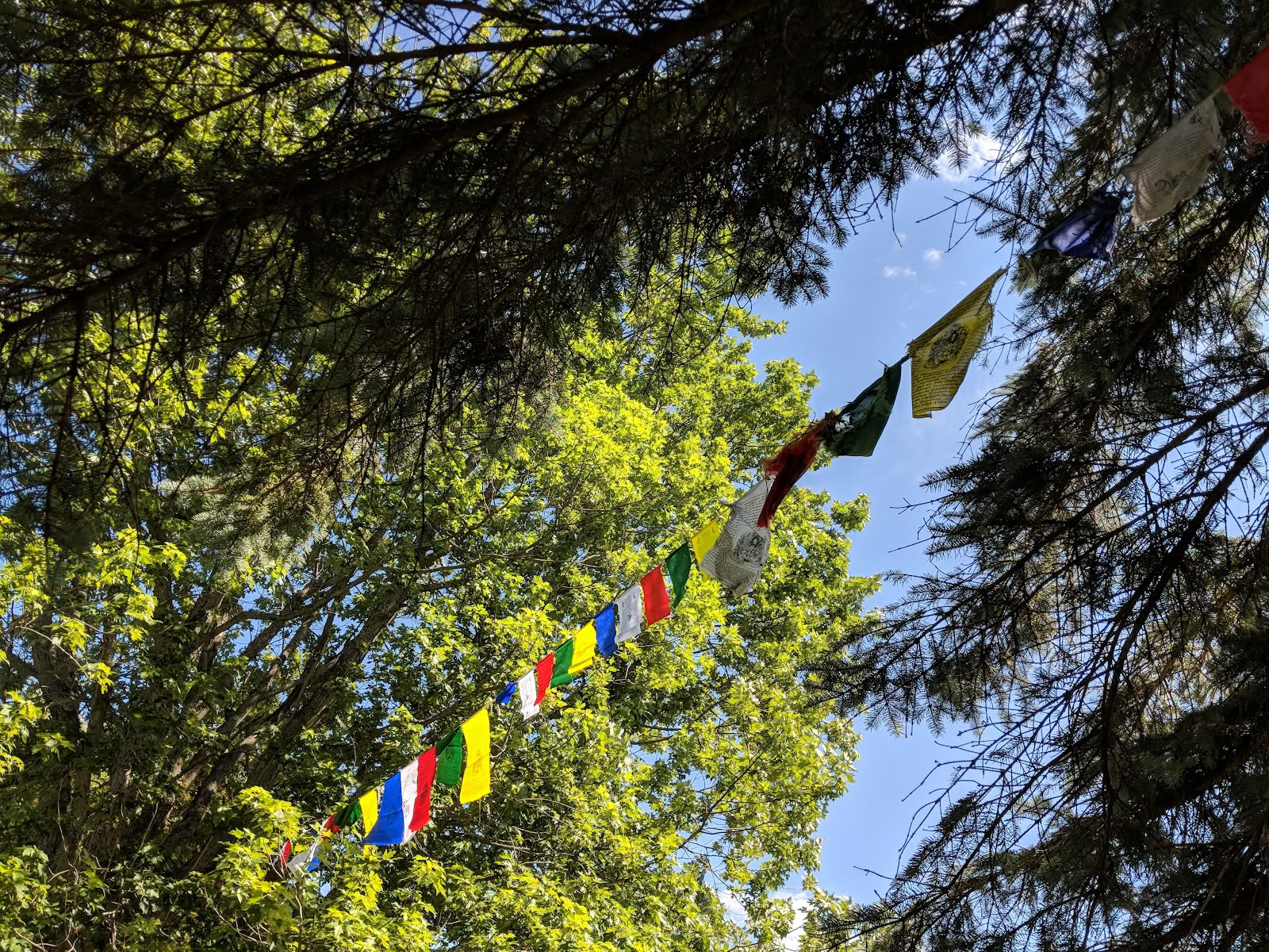 Samye Hermitage New York