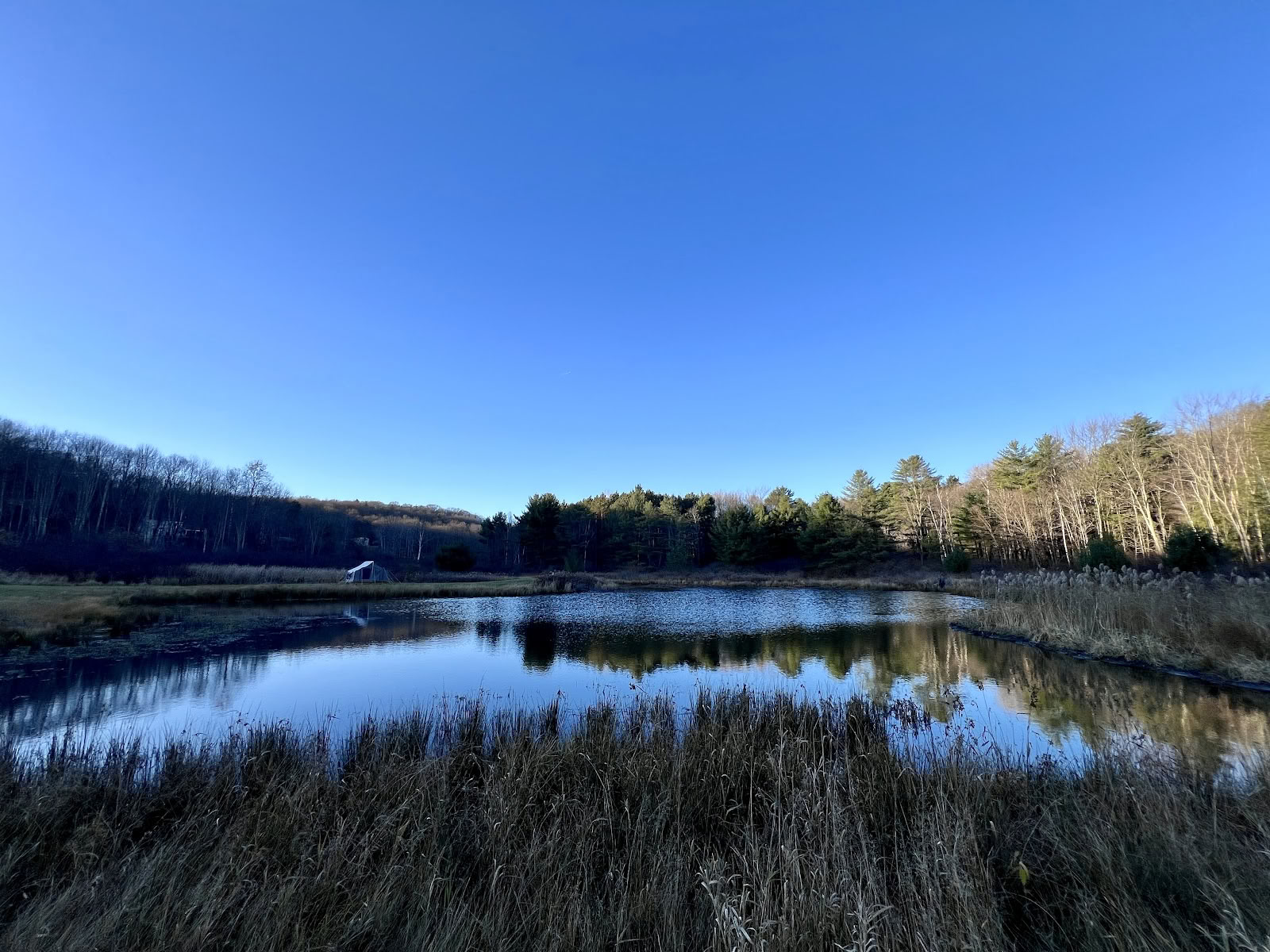 Samye Hermitage New York