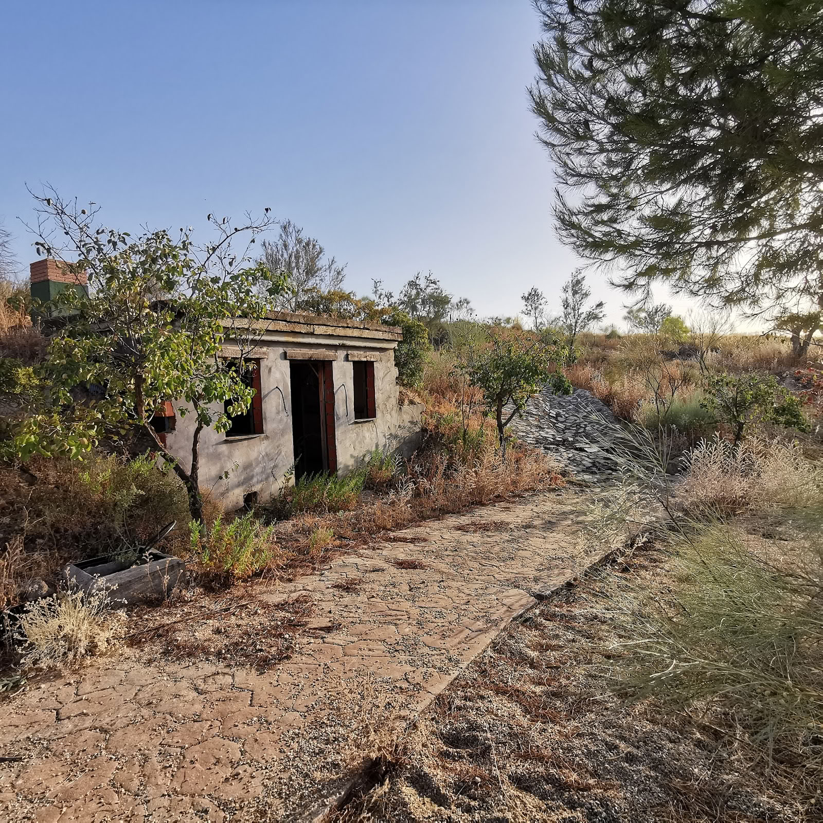 Qiterra Finca til retreats, uddannelser og workshops