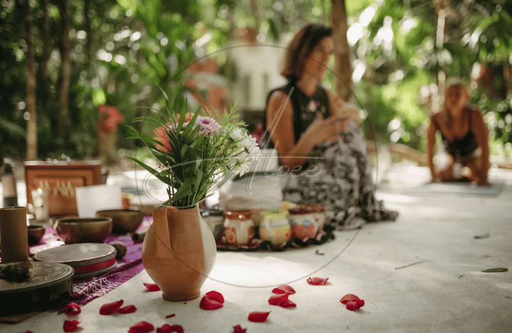 Aloee Wellness (Mexico-kontor)
