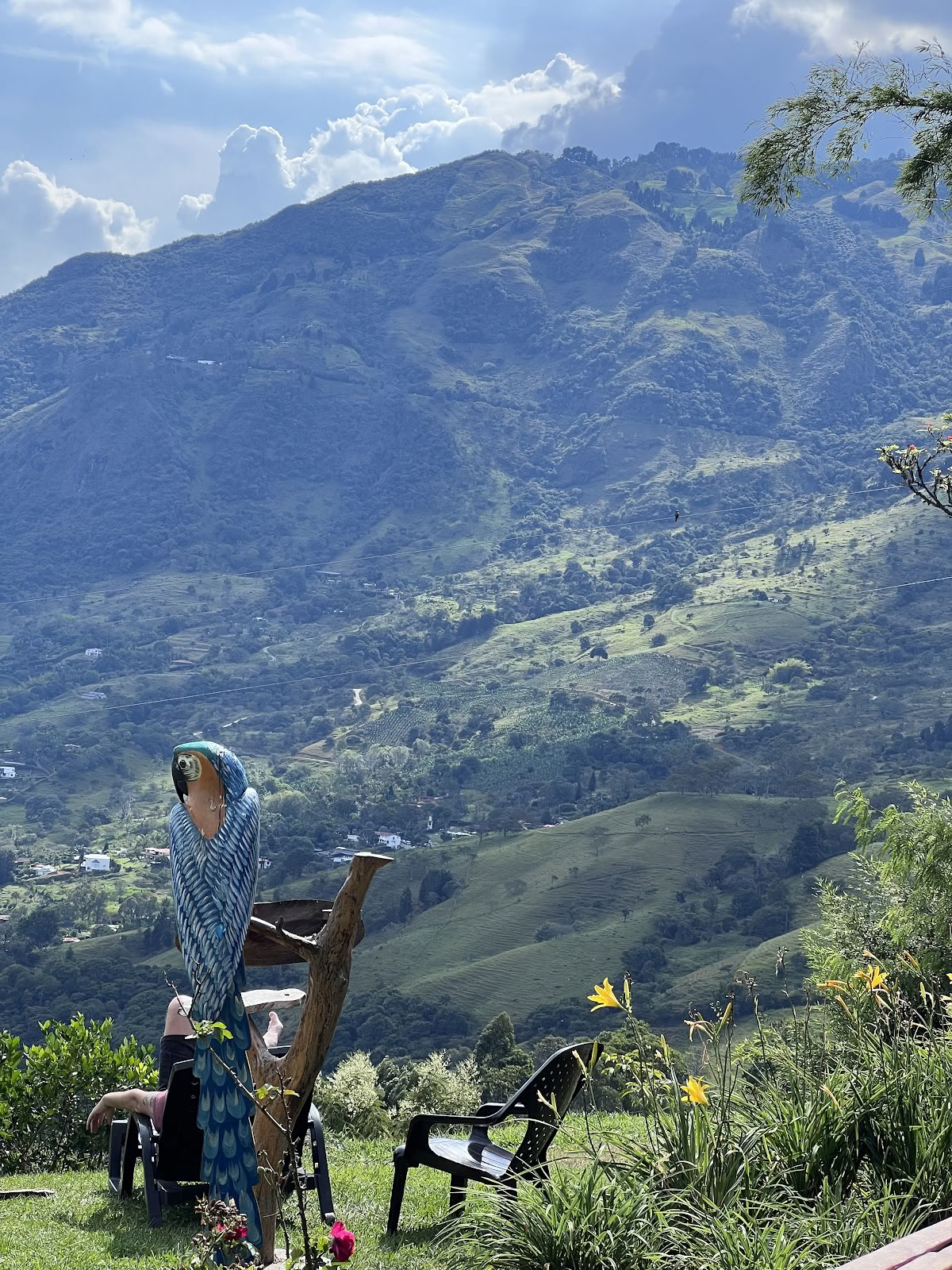 Ayahuasca-retreat i Colombia med mundharmonika (tidligere Guacamayo)