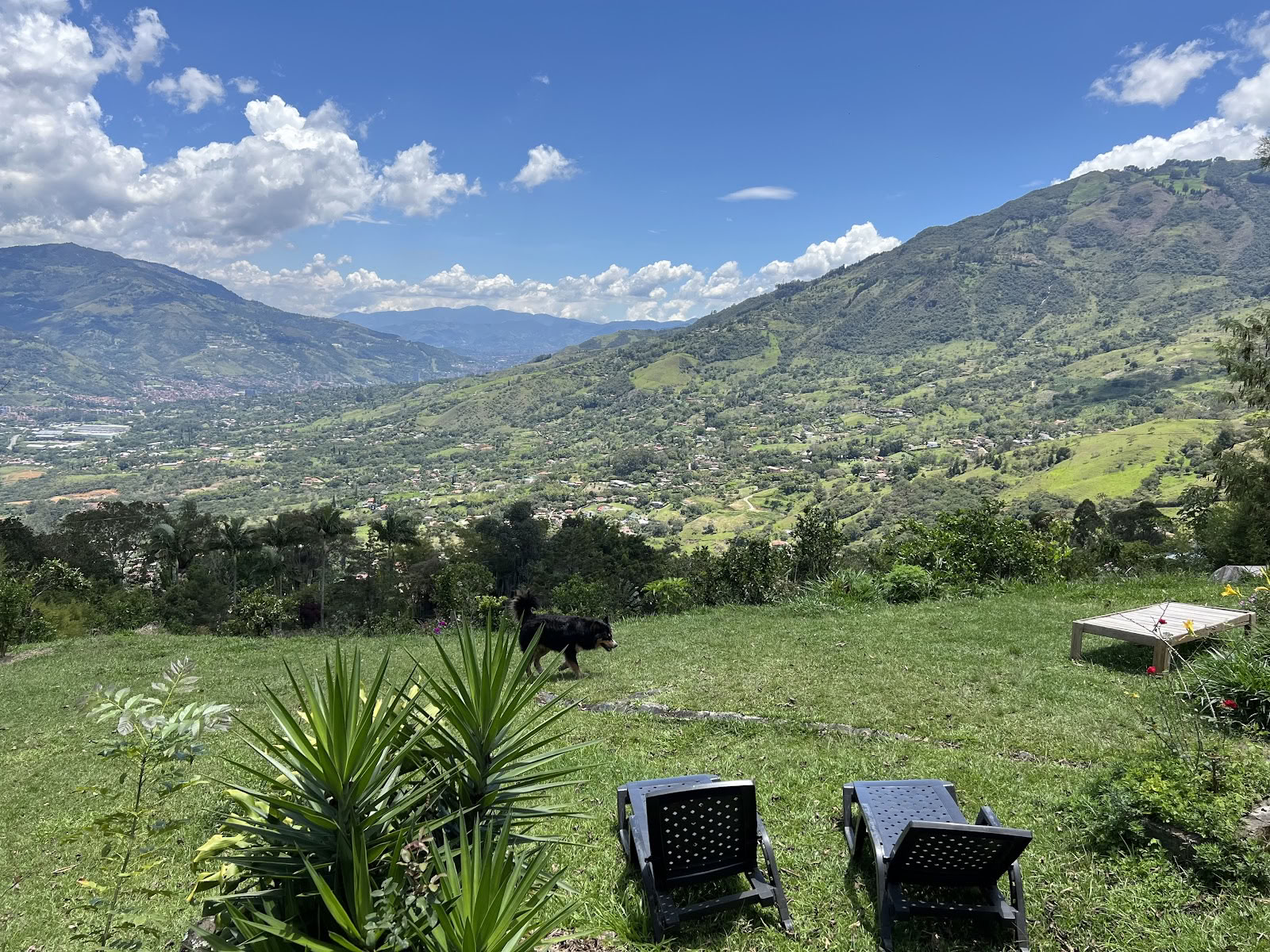 Ayahuasca-retreat i Colombia med mundharmonika (tidligere Guacamayo)