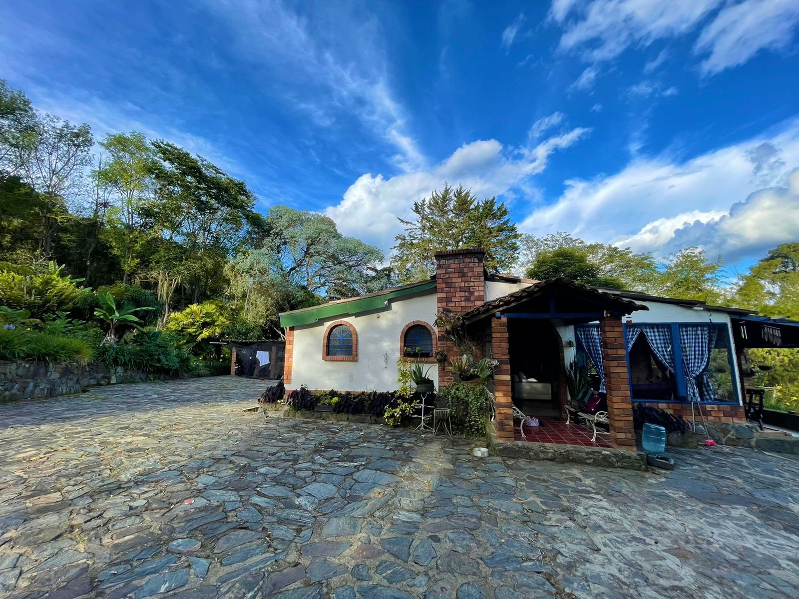 Ayahuasca-retreat i Colombia med mundharmonika (tidligere Guacamayo)