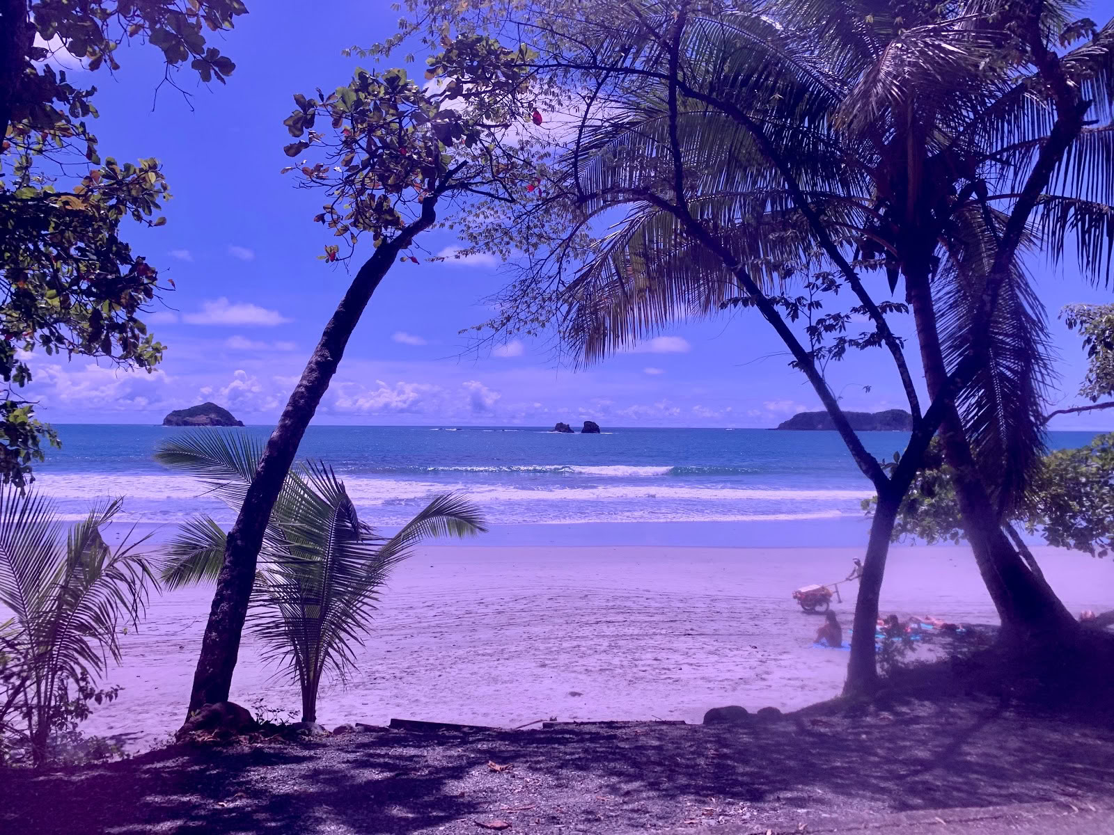 Phoenix-retreatet