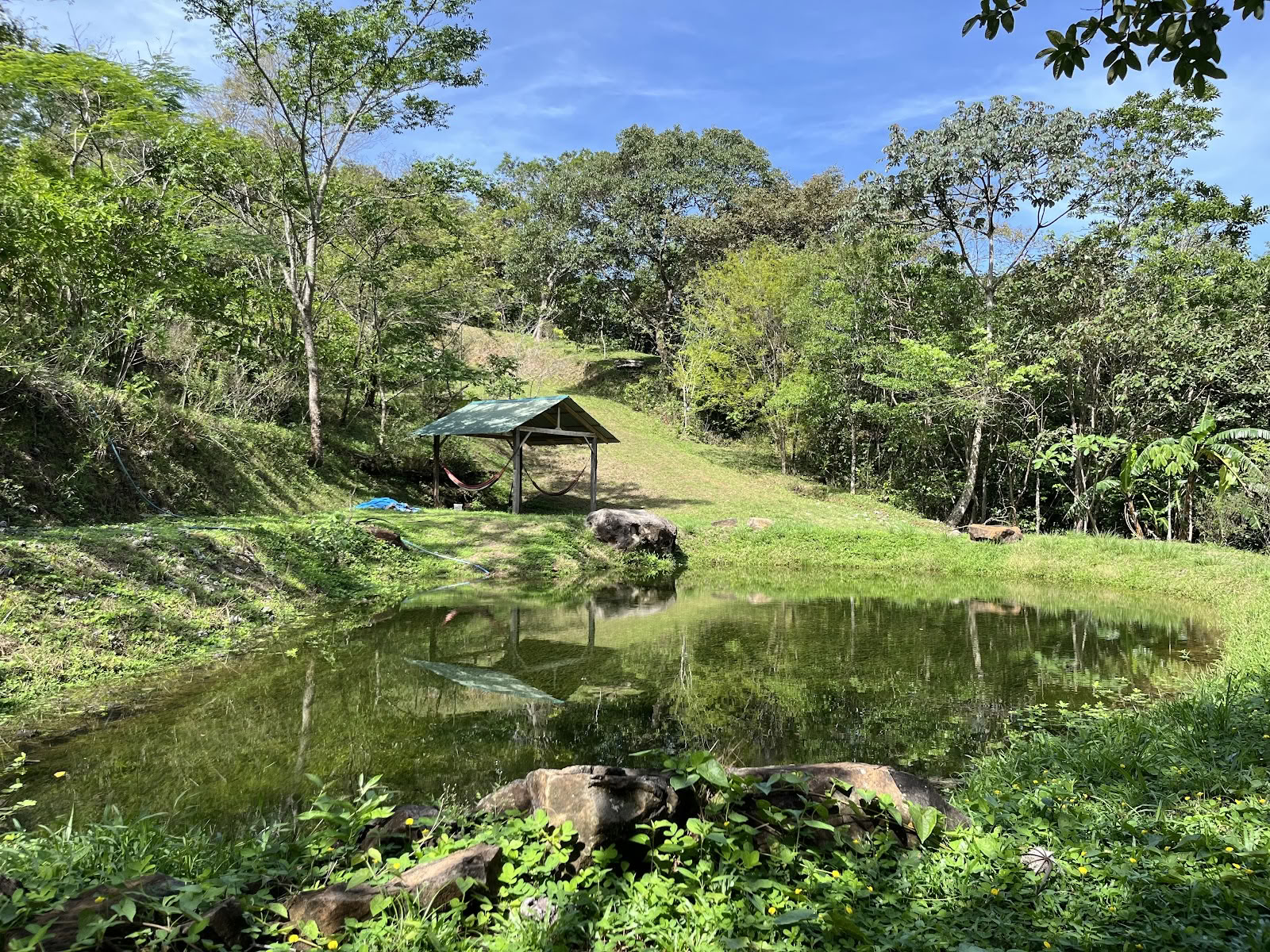 Junglehuset