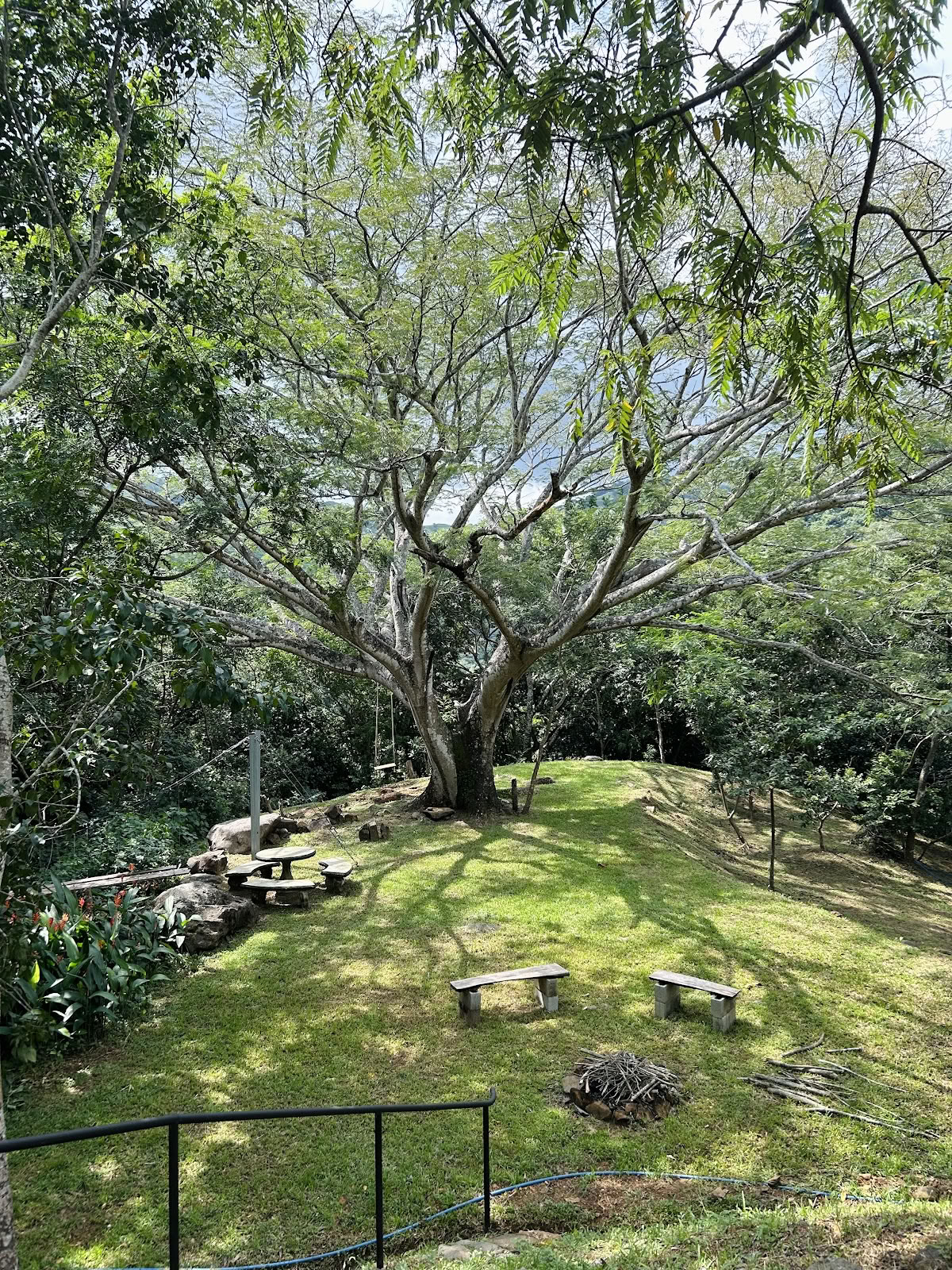 Junglehuset