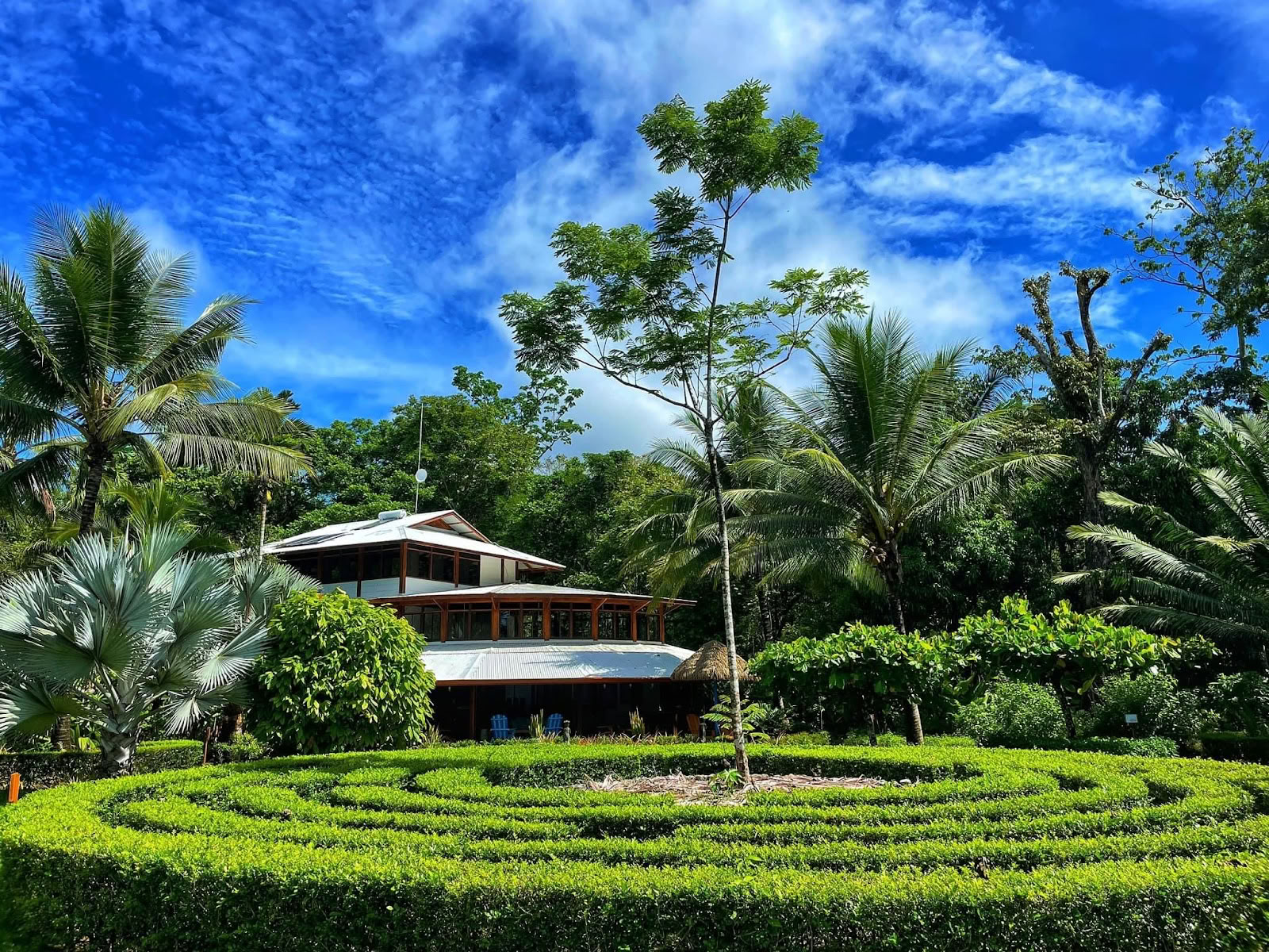 Blue Osa Yoga Retreat og Spa