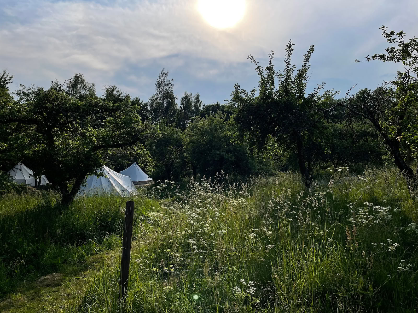 Nina Medicina Retreats, Træninger, Åndedrætsarbejde & Kakaoceremonier
