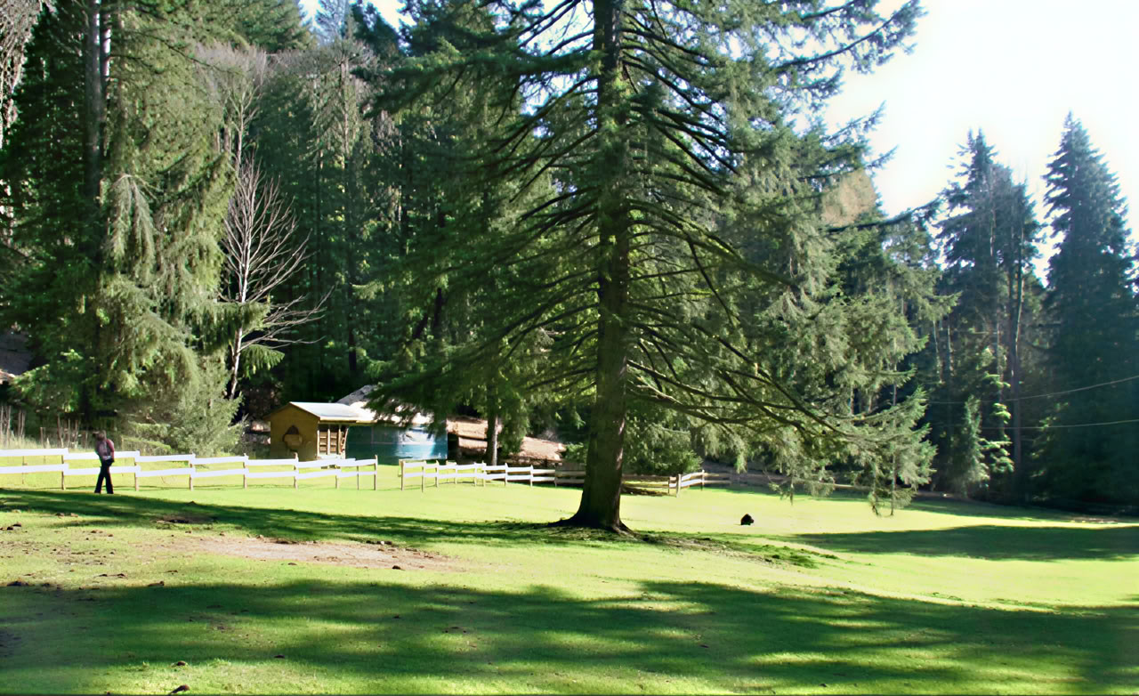Xenia Retreatcenter