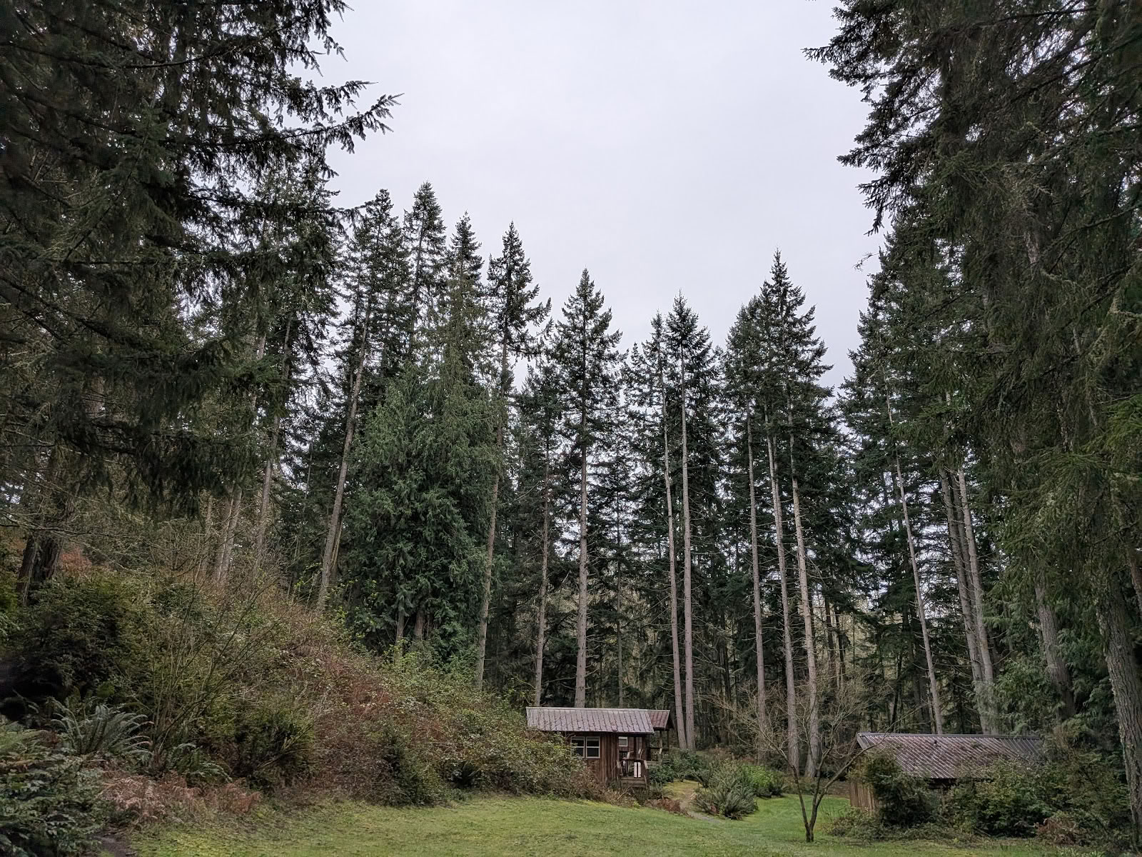 Whidbey Institute