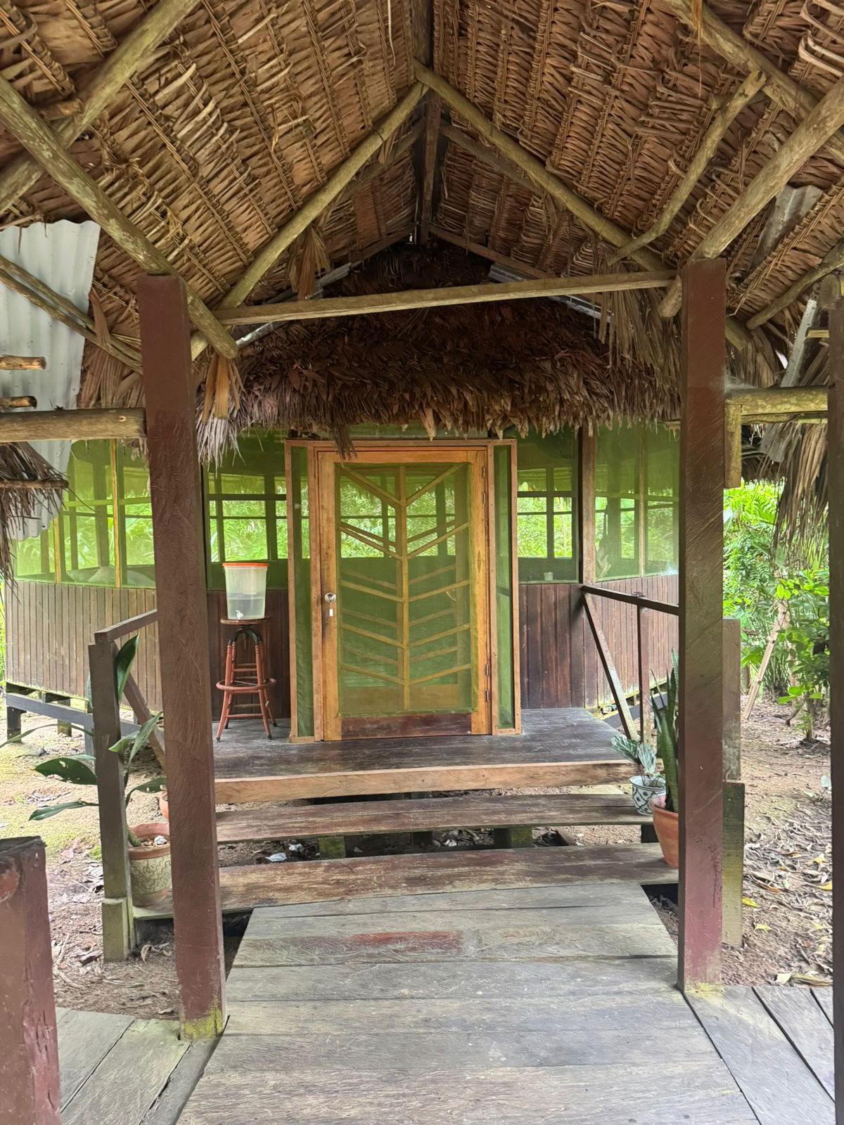 Lighthouse! Ayahuasca-retreat