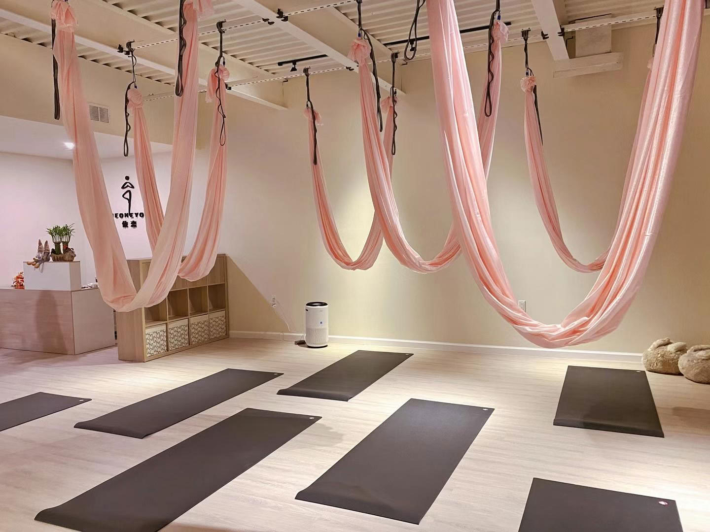 Det ene yoga- og pilatessted