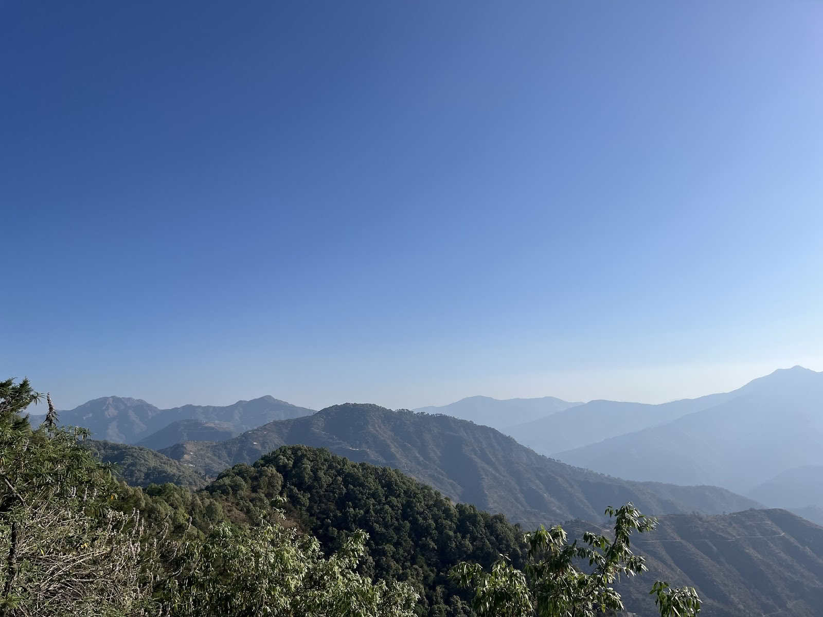 Japam Yoga, Trekking og Ture LLP (Studie)