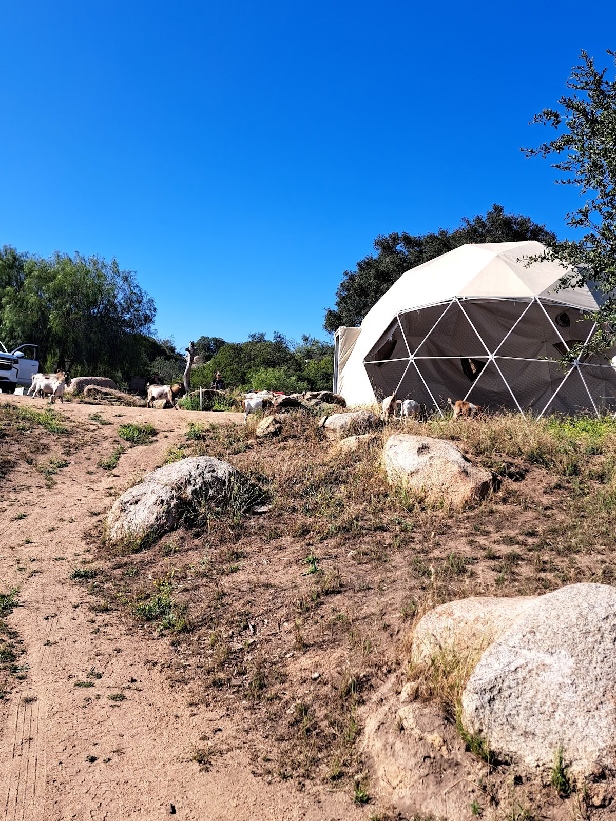 Splitrock Farm og Retreat
