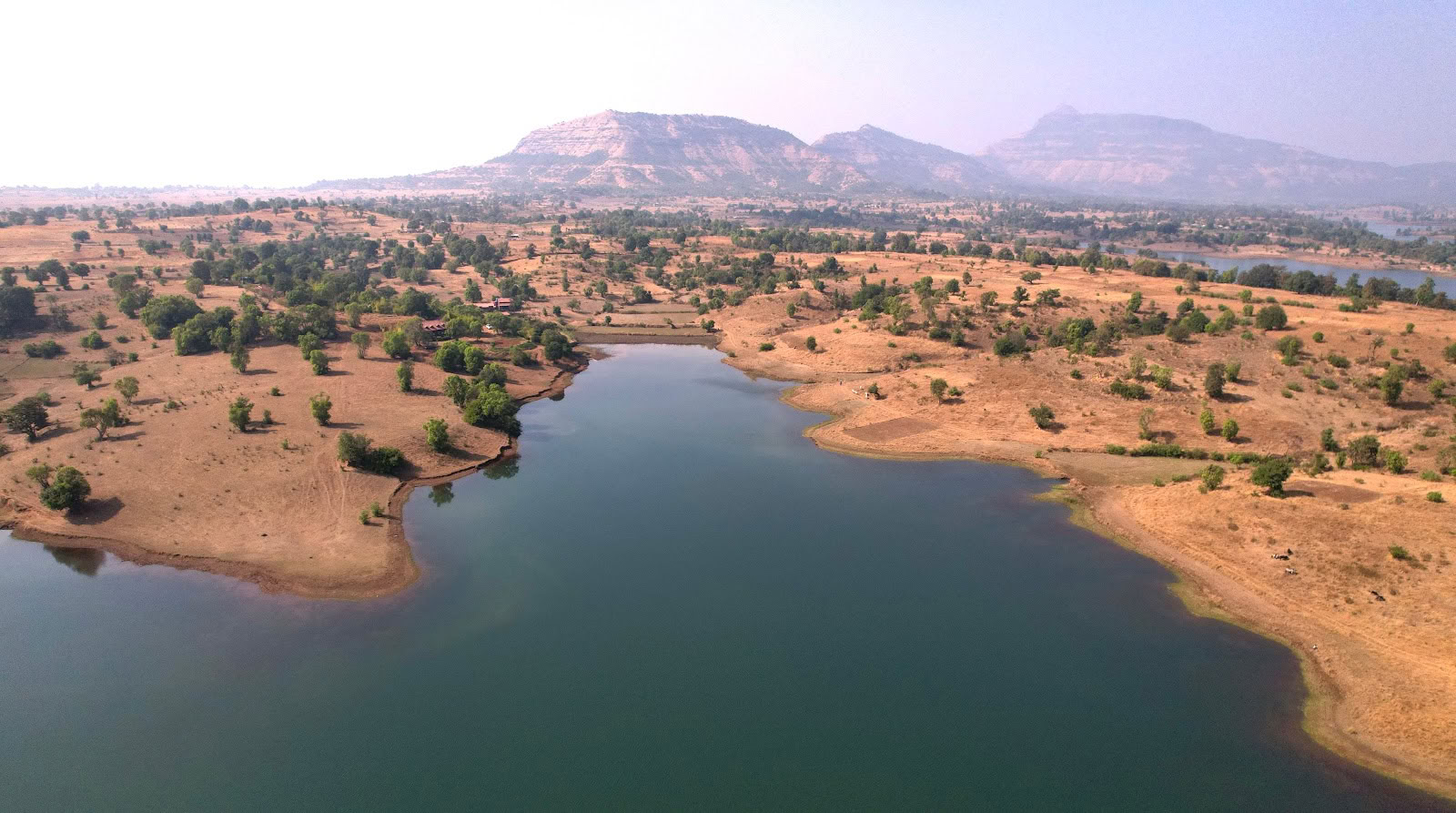 SiddhaDham - Gårdophold og wellness-retreat - Nashik / Igatpuri