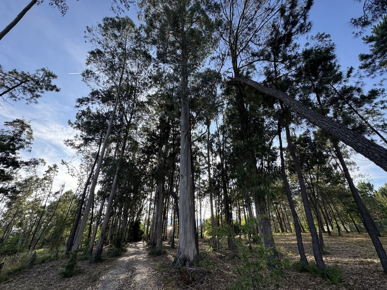 Catrinandes Retreat Center