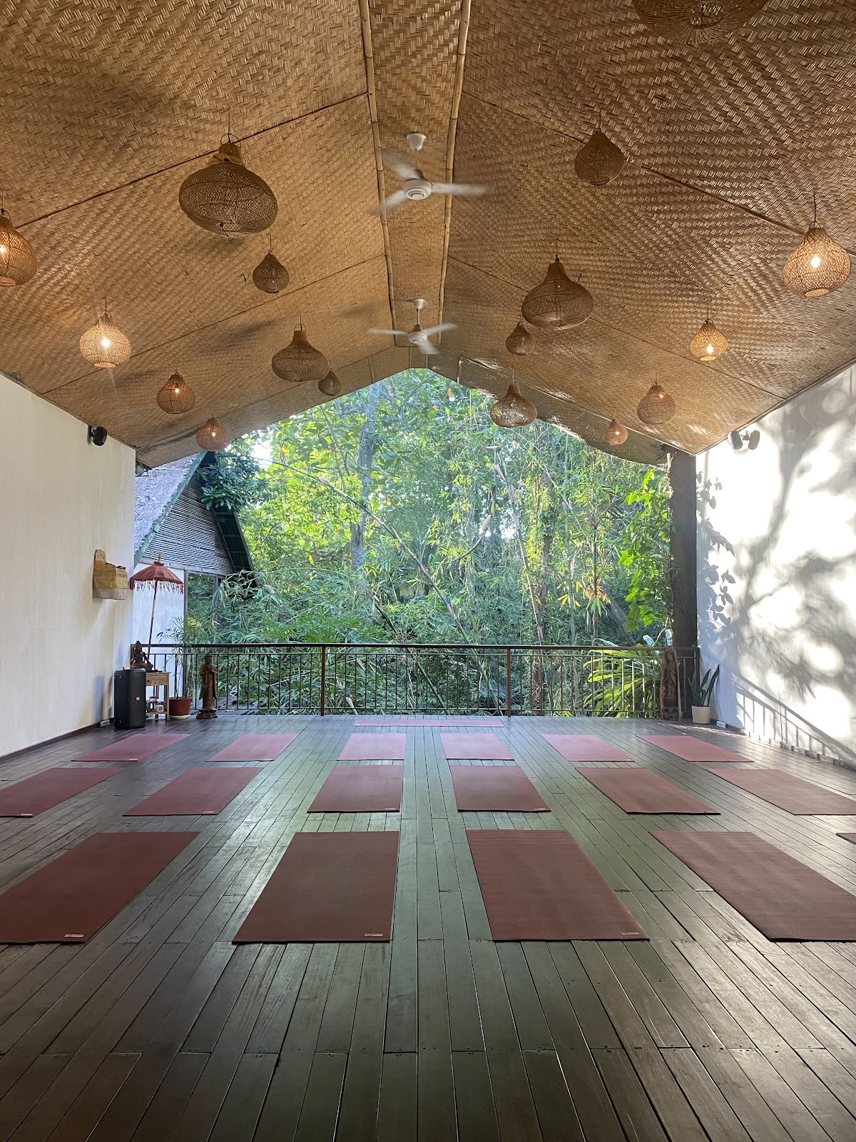 Strålende Levende Yoga