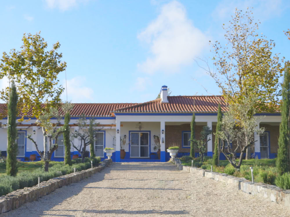 Tabula Rasa Retreat - Europas Foretrukne Ibogaine-behandlingscenter for Luksuriøs Ibogainebehandling | Terapiklinik | Afhængighed
