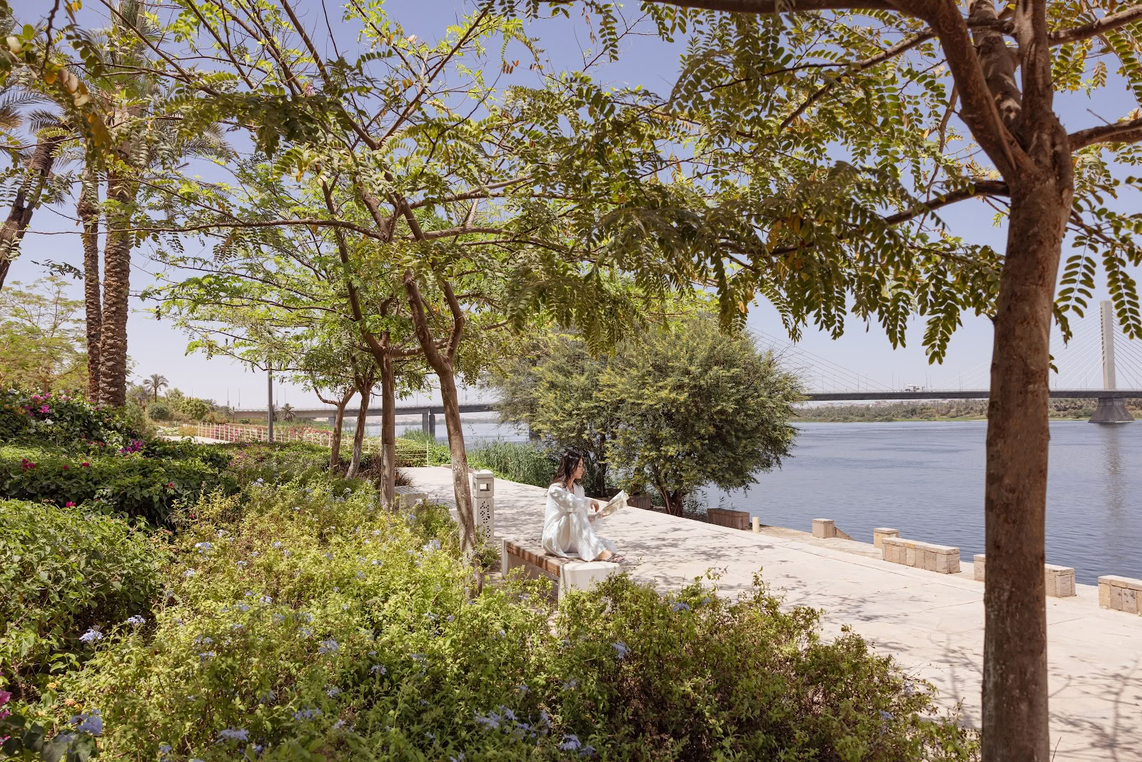 Zen Wellness Resort