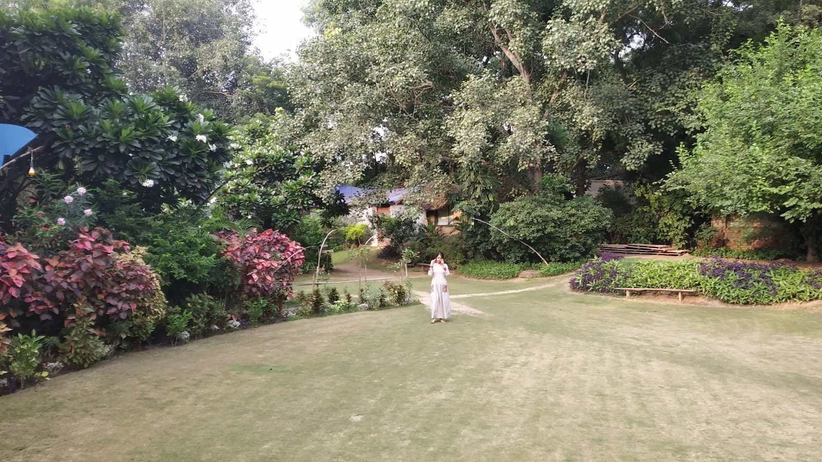 Zorba Buddha - New Delhi