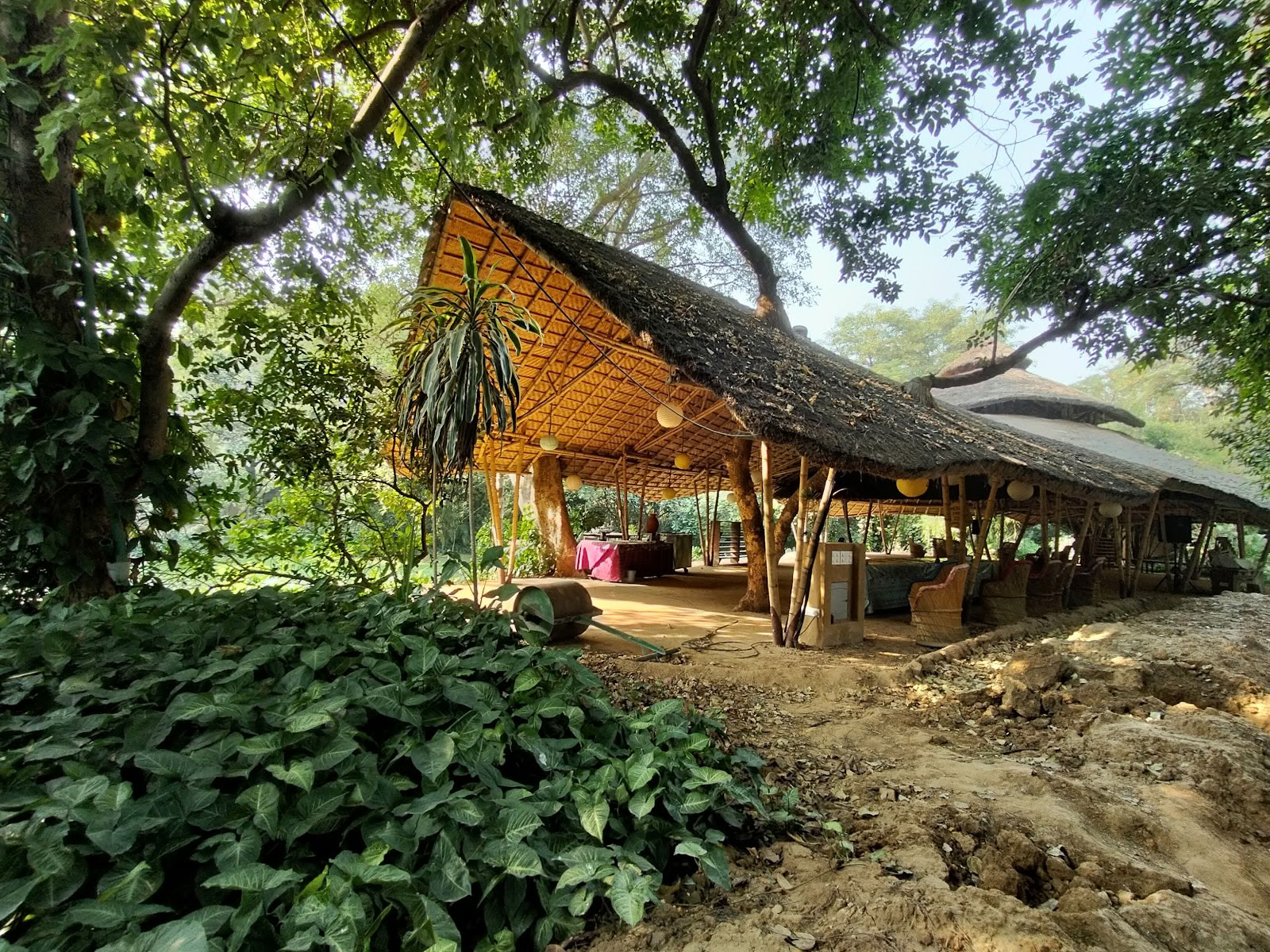 Zorba Buddha - New Delhi