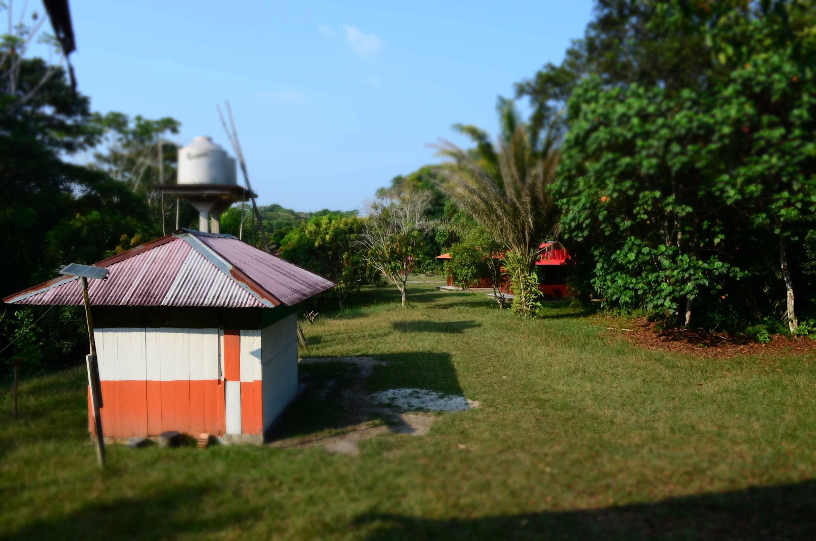 Officielt Selva Madre Ayahuasca-retreat i Iquitos, Peru