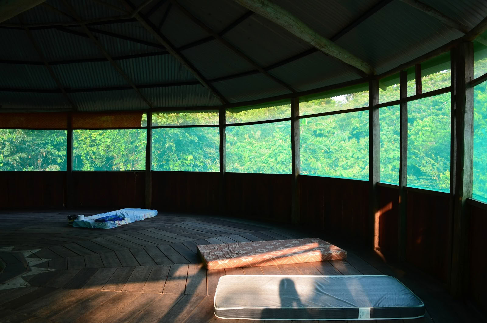 Officielt Selva Madre Ayahuasca-retreat i Iquitos, Peru