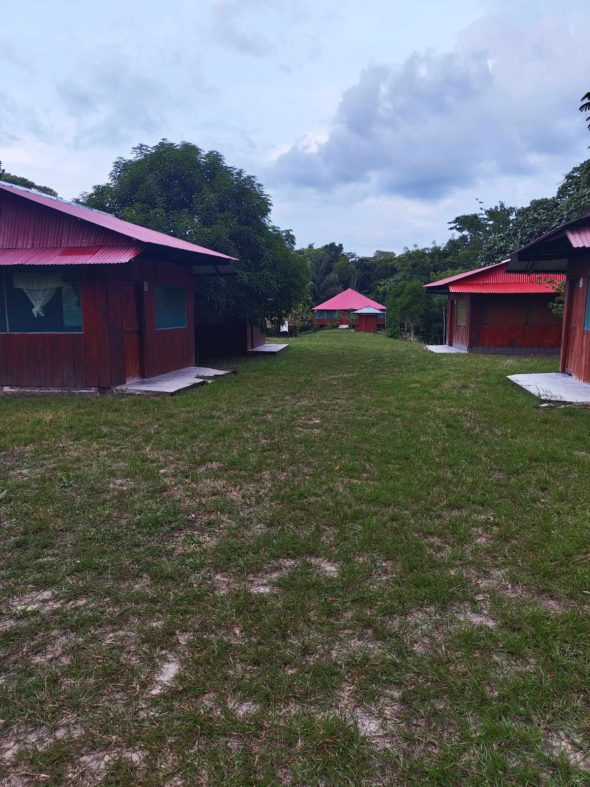 Officielt Selva Madre Ayahuasca-retreat i Iquitos, Peru