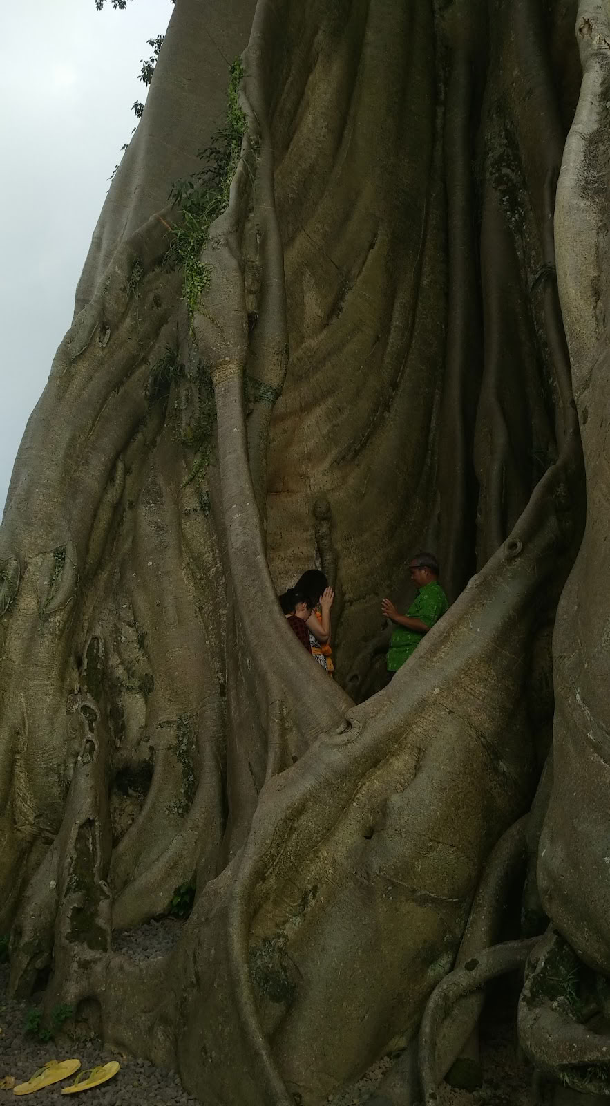 Bali Wellness og Kultur af Taman Usada Bali