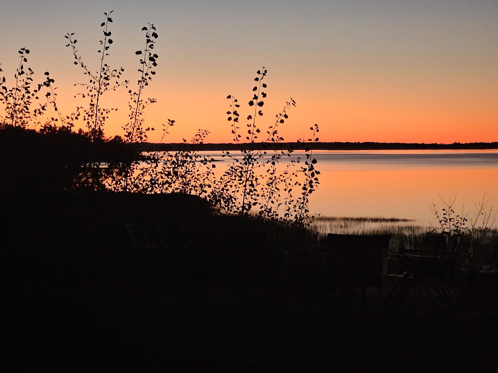 Vilde, jordnære retreats