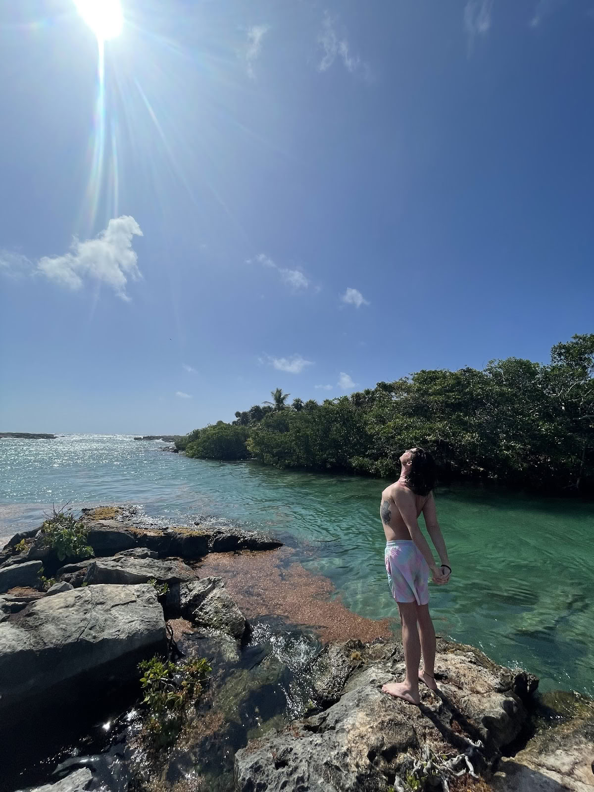 Mi Vida Yoga-retreats Tulum (Kontor)