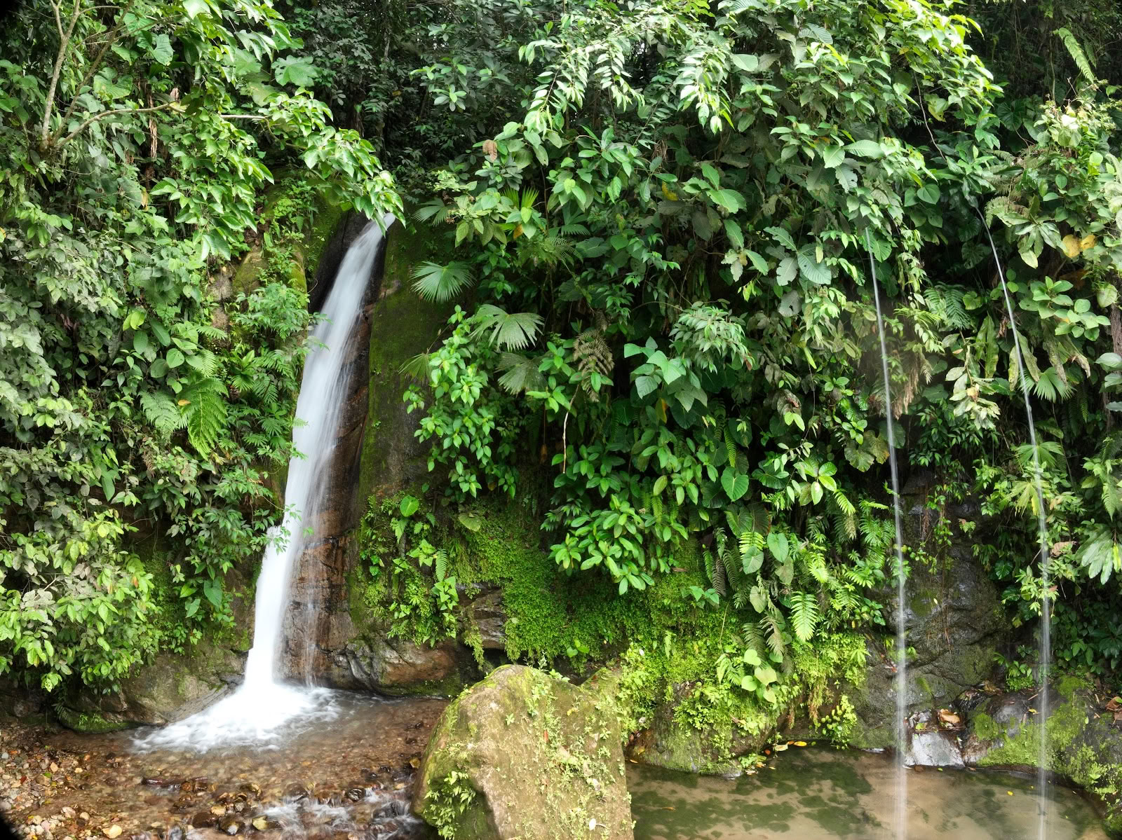 Mahadevi Ayahuasca-retreat i Colombia