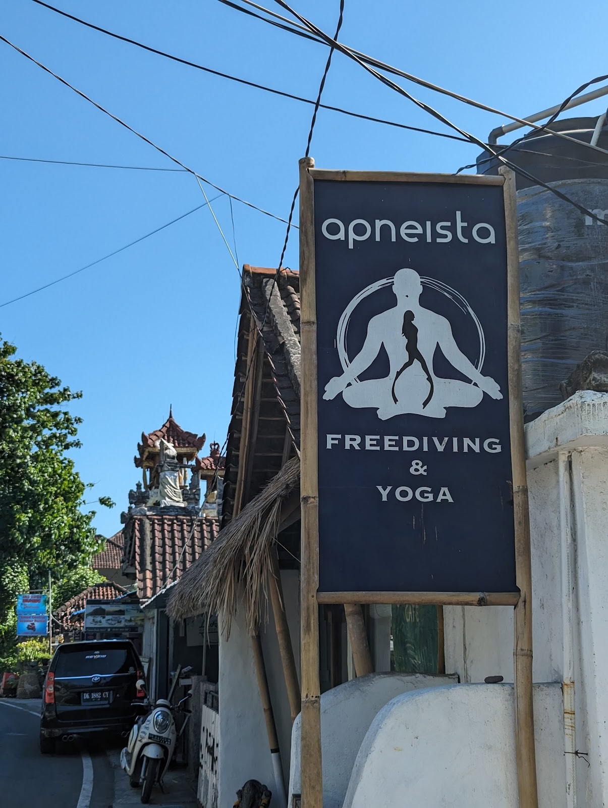 Apneista Fridyknings- og Yogaskole