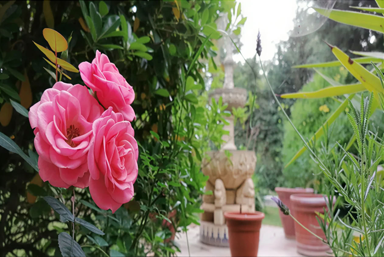 Casa Colibrí (holistisk sundhed)