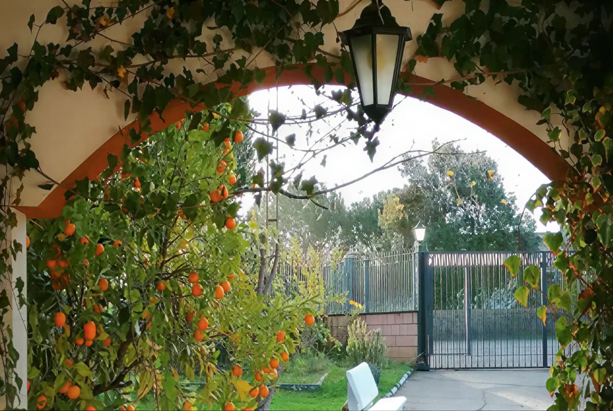 Casa Colibrí (holistisk sundhed)