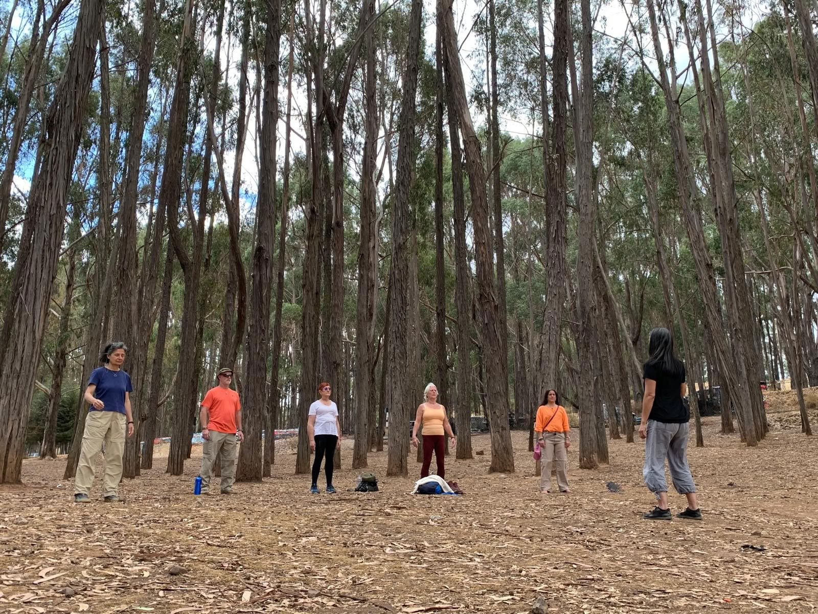 Holistisk Balance-retreat i Peru