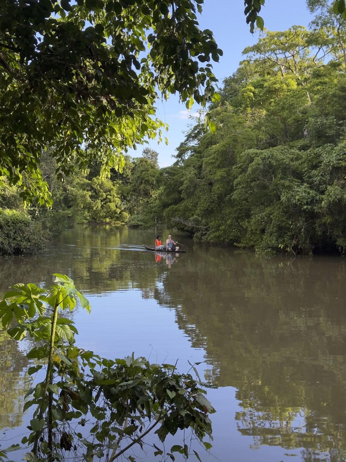 Amazonas' måne