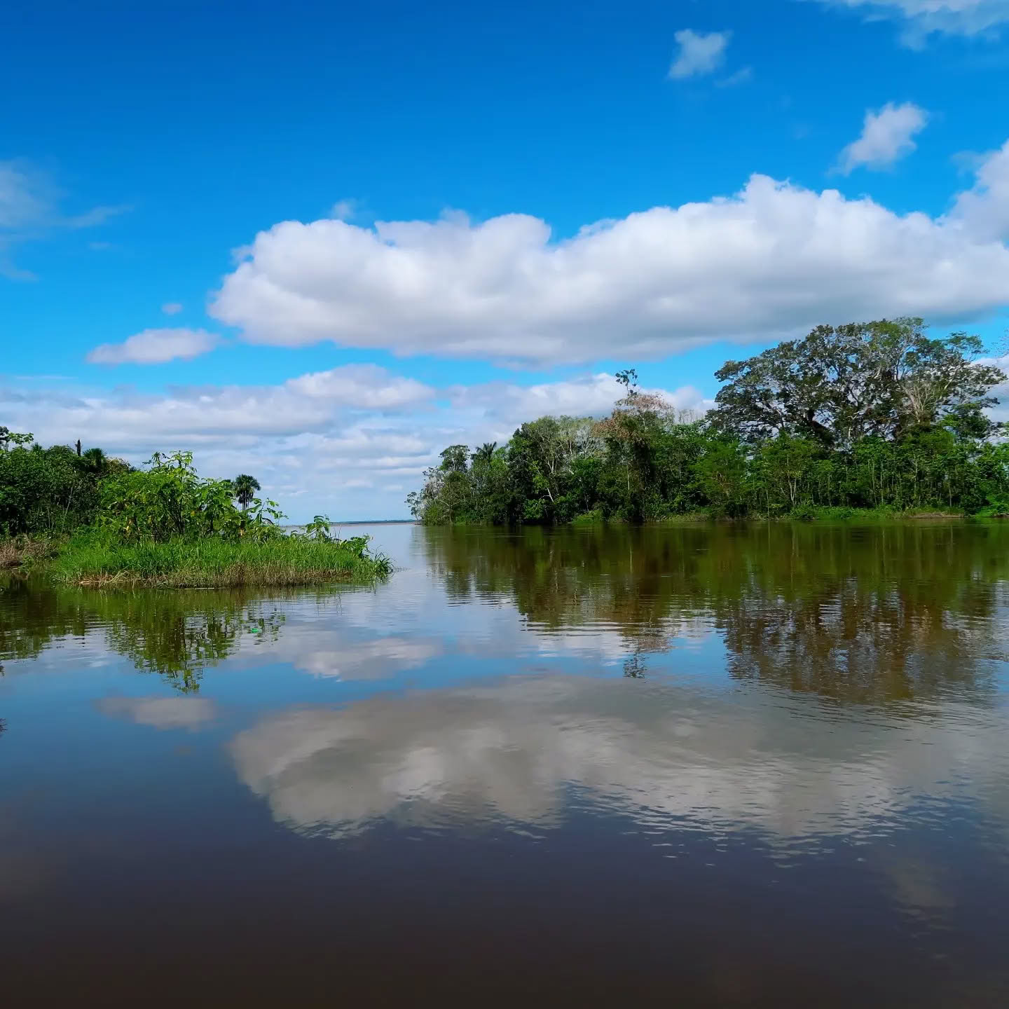 Amazonas' måne