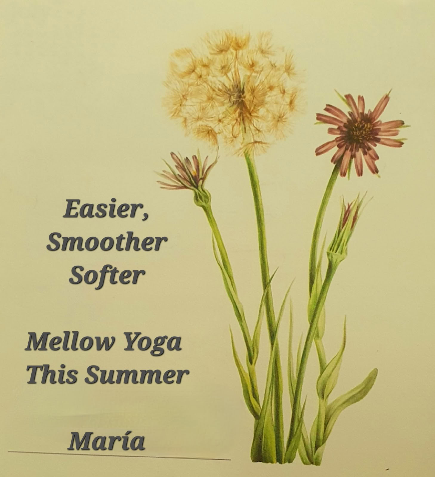 Yoga med María | Sotogrande