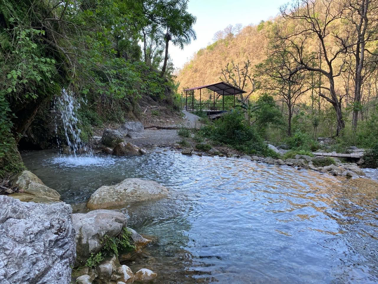 Sindets Flow-harmoni - Den bedste yogalærerskole i Rishikesh