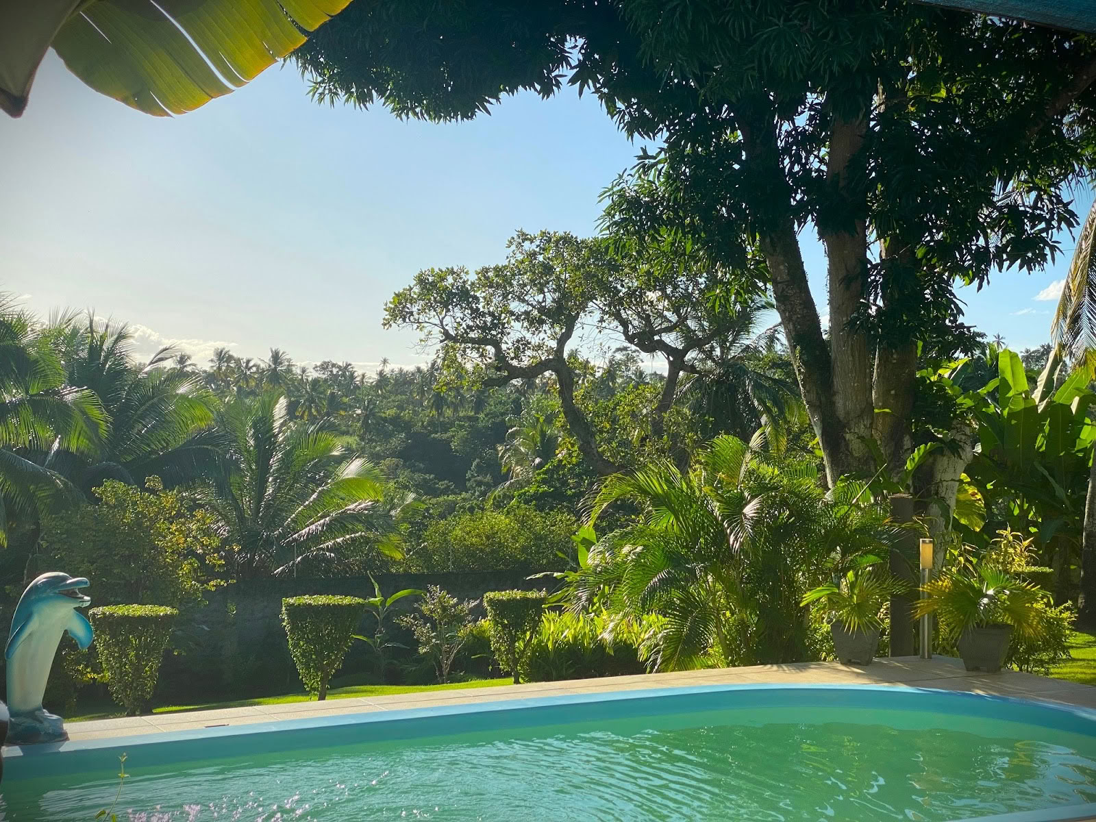 Ayahuasca-retreat i Brasilien