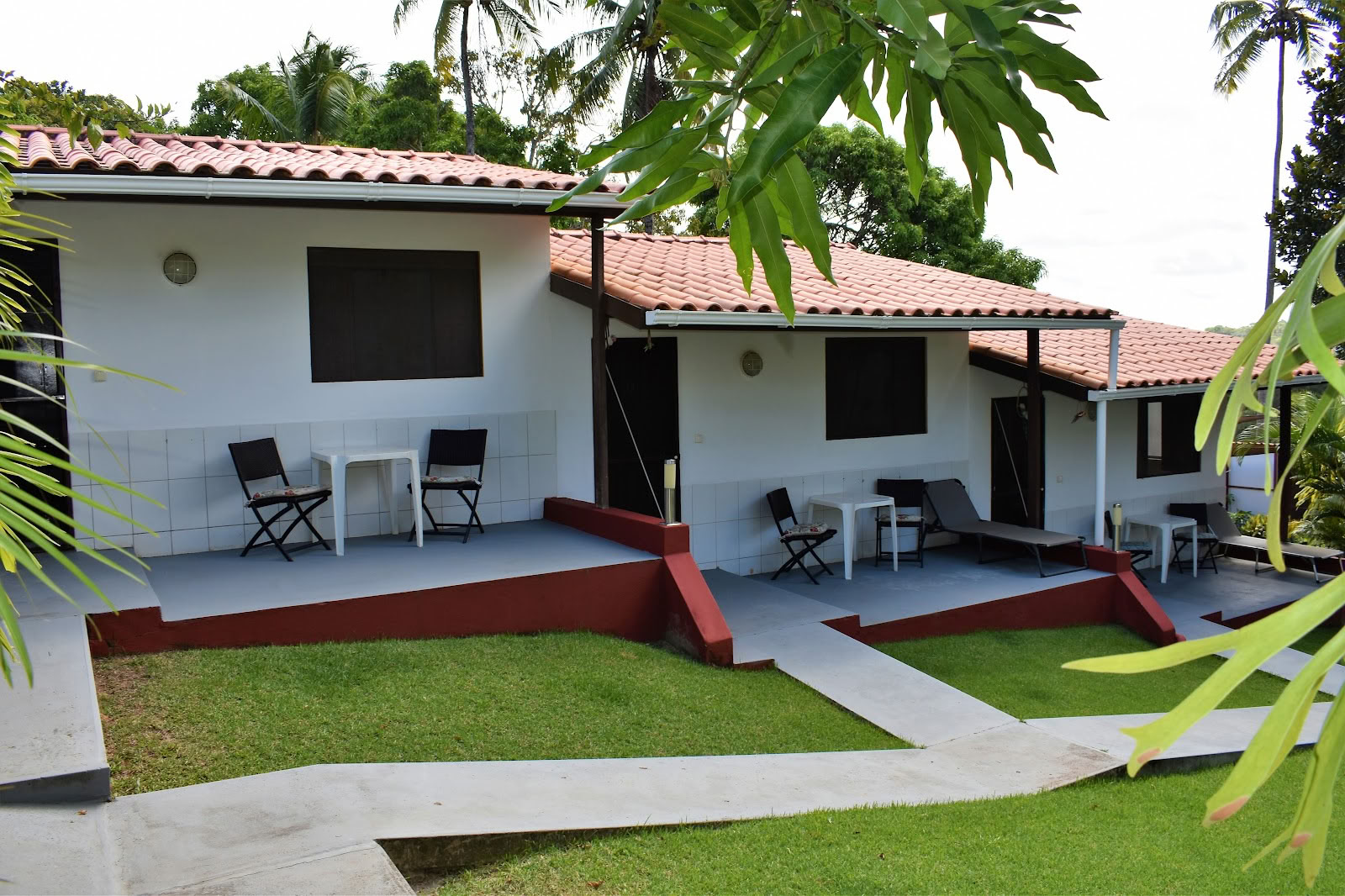 Ayahuasca-retreat i Brasilien