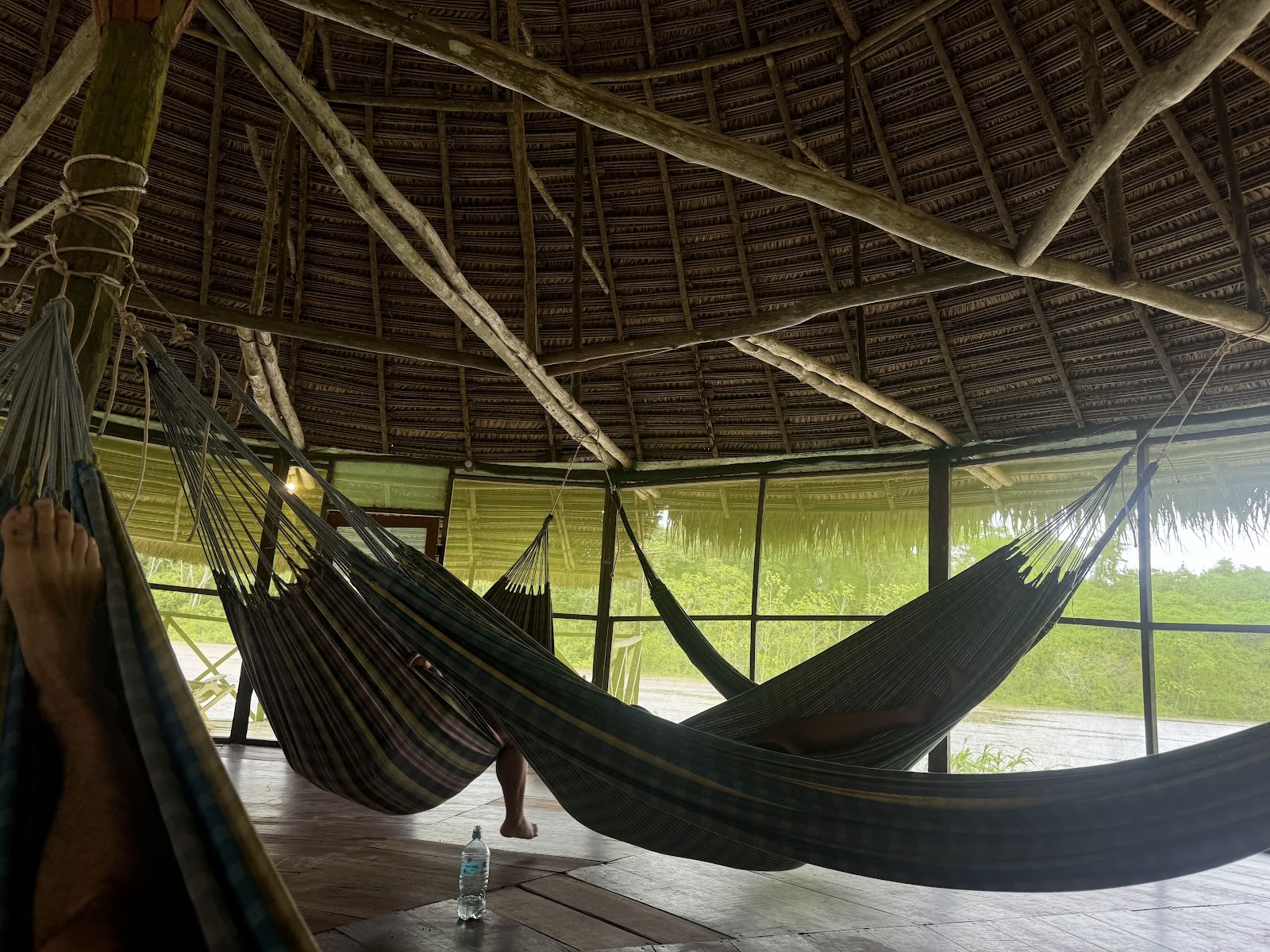 Ayahuasca-økoture